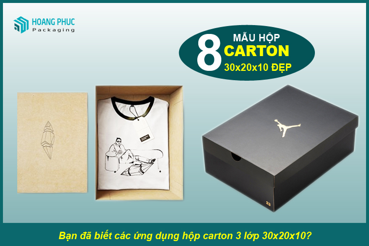 Thùng carton 30x20x10 