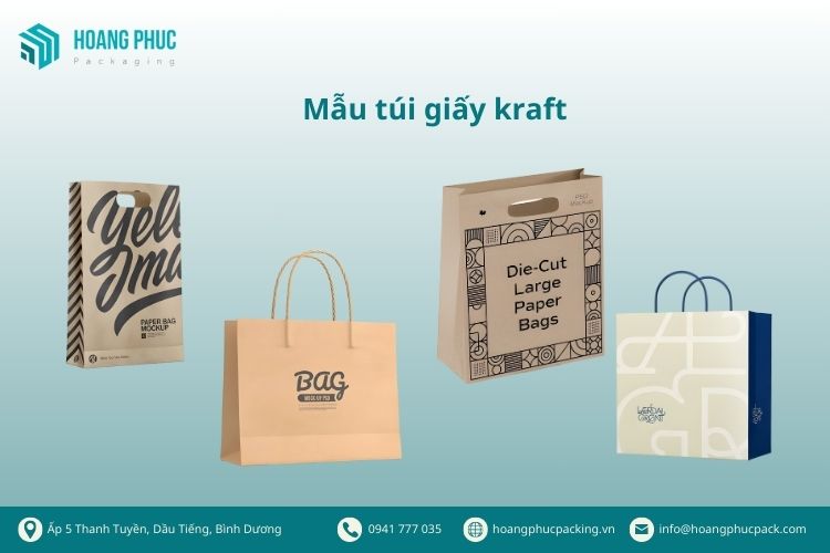 Mẫu túi giấy kraft