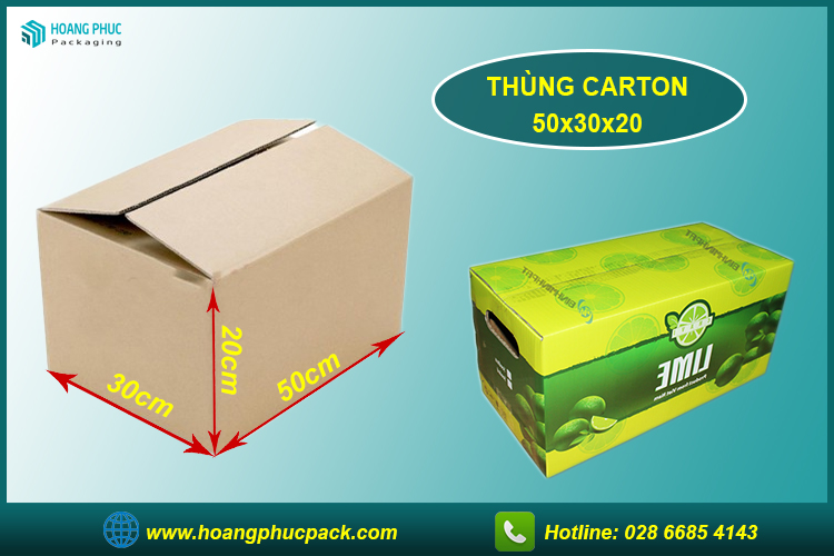 Thùng carton 50x30x20