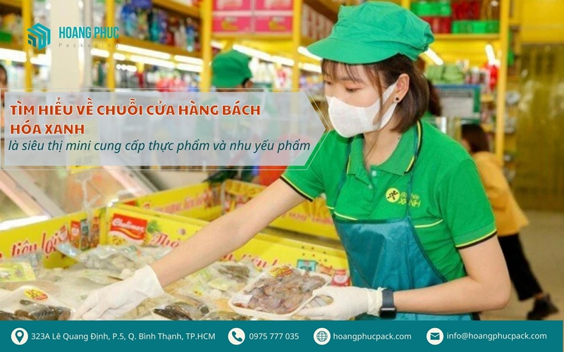 Tìm hiểu về chuỗi cửa hàng Bách hóa XANH