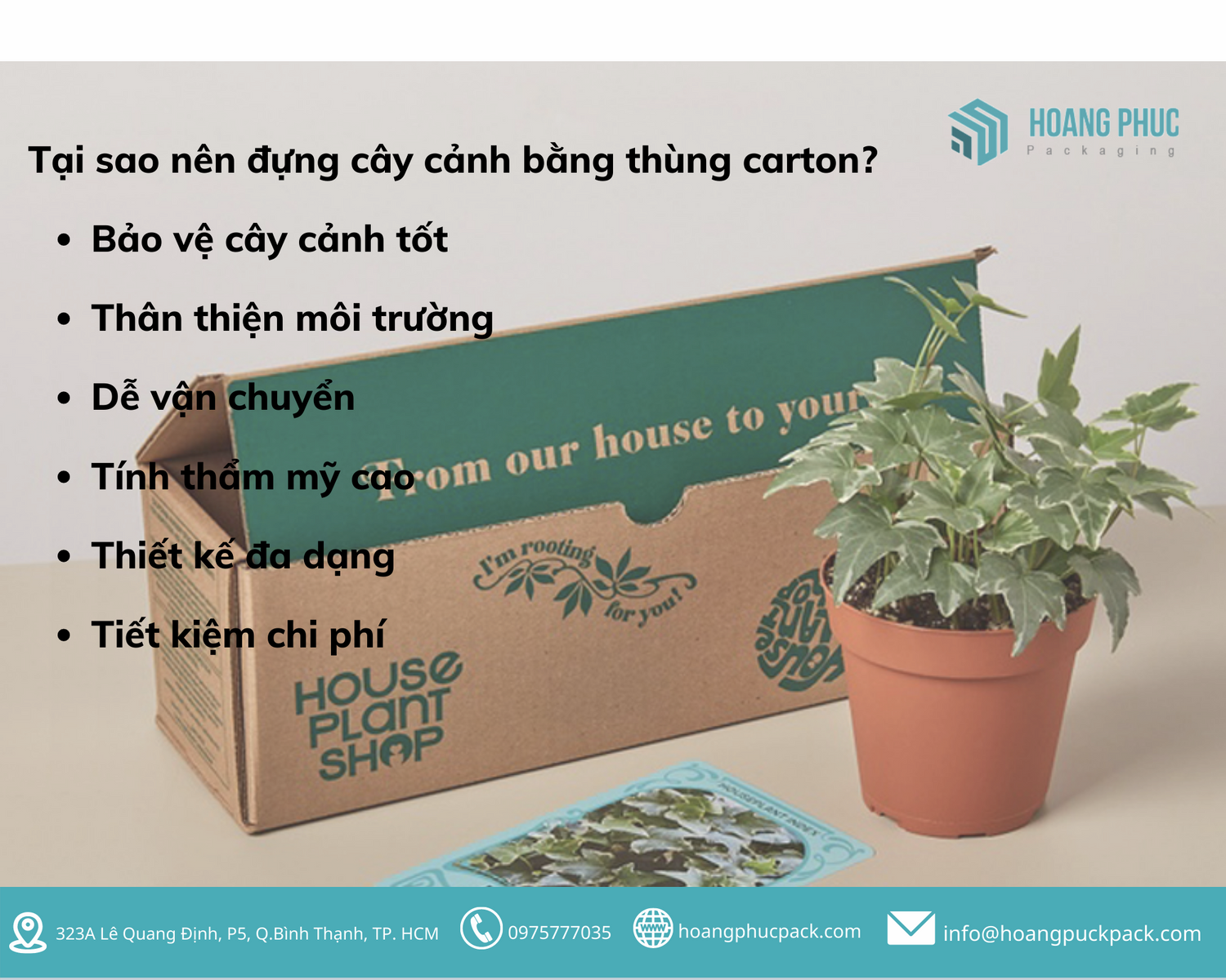 Mua thùng carton đựng chậu cây cảnh